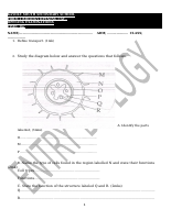 BIOLOGY Form 2 OPENING CAT.docx